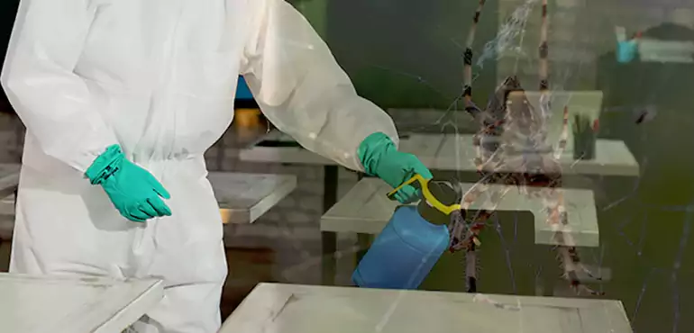 Why Buyers Still Want Homes With Pest Infestations in New Britain, CT?