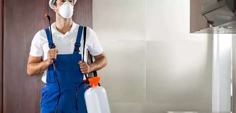 Why New Britain Homeowners Choose Us When Pests Make Selling Difficult