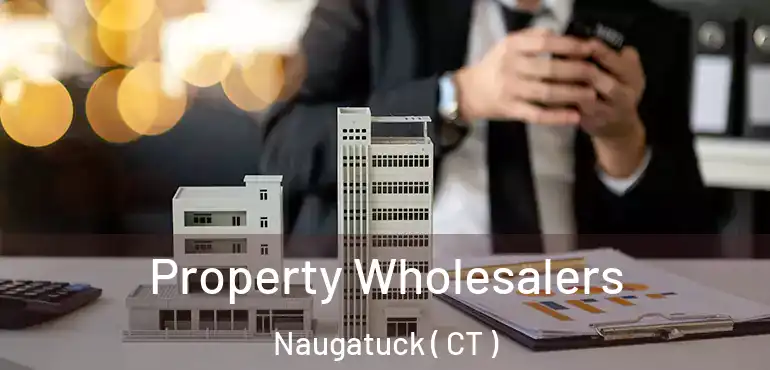  Property Wholesalers Naugatuck ( CT )