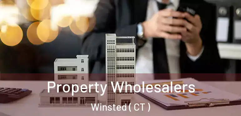  Property Wholesalers Winsted ( CT )