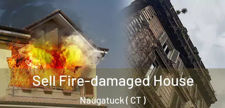 Sell Fire-damaged House Naugatuck ( CT )