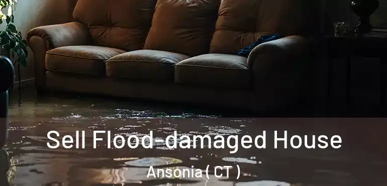  Sell Flood-damaged House Ansonia ( CT )