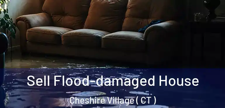  Sell Flood-damaged House Cheshire Village ( CT )