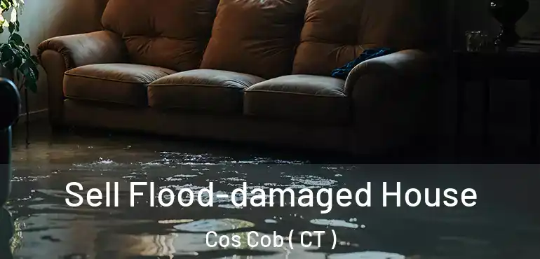  Sell Flood-damaged House Cos Cob ( CT )