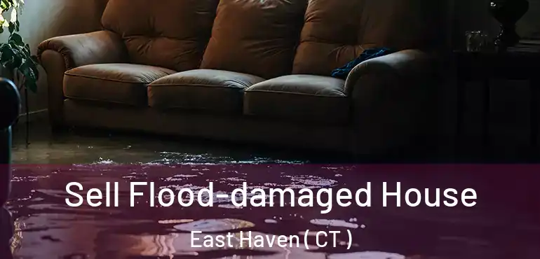  Sell Flood-damaged House East Haven ( CT )