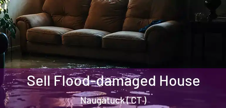  Sell Flood-damaged House Naugatuck ( CT )