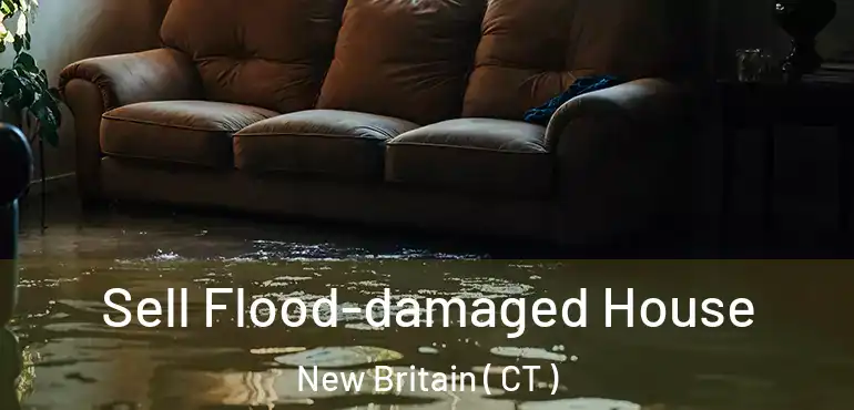 Sell Flood-damaged House New Britain ( CT )