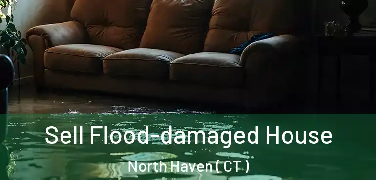  Sell Flood-damaged House North Haven ( CT )