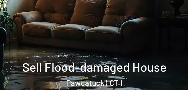  Sell Flood-damaged House Pawcatuck ( CT )