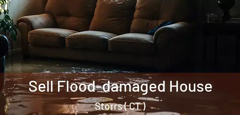  Sell Flood-damaged House Storrs ( CT )