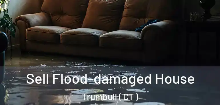  Sell Flood-damaged House Trumbull ( CT )