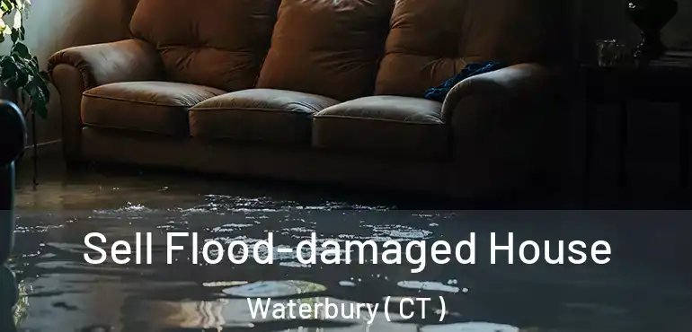  Sell Flood-damaged House Waterbury ( CT )
