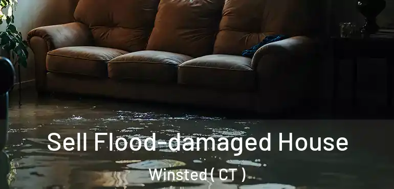  Sell Flood-damaged House Winsted ( CT )