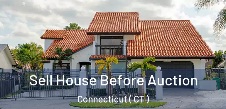  Sell House Before Auction Connecticut ( CT )