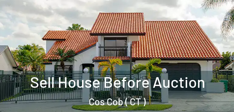  Sell House Before Auction Cos Cob ( CT )