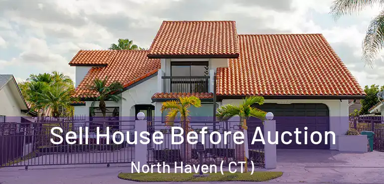  Sell House Before Auction North Haven ( CT )