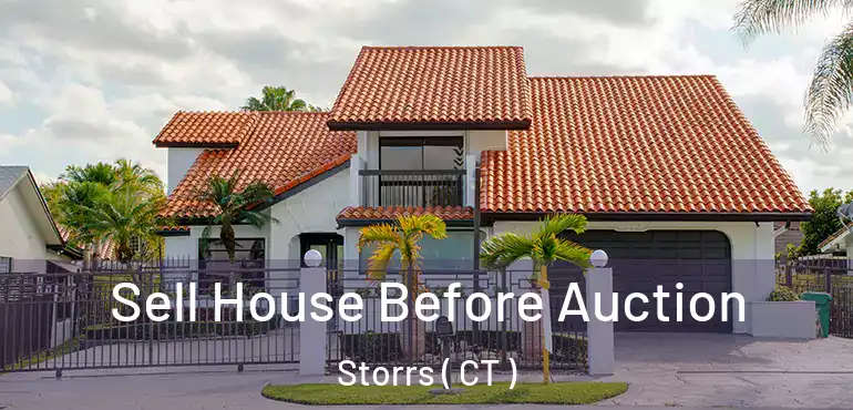  Sell House Before Auction Storrs ( CT )