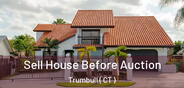 Sell House Before Auction Trumbull ( CT )