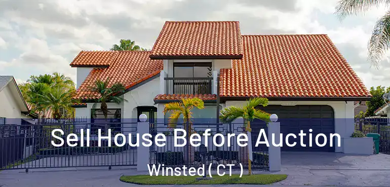  Sell House Before Auction Winsted ( CT )