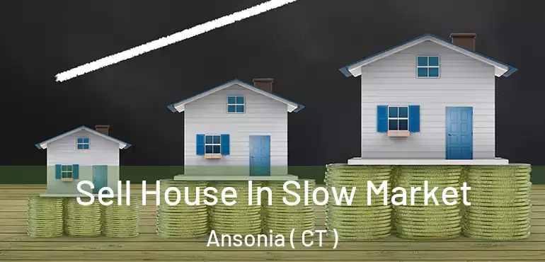  Sell House In Slow Market Ansonia ( CT )