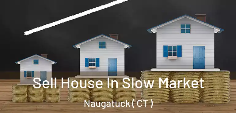  Sell House In Slow Market Naugatuck ( CT )