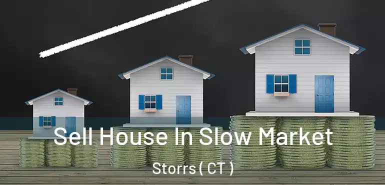  Sell House In Slow Market Storrs ( CT )