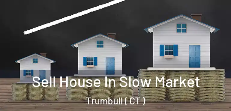  Sell House In Slow Market Trumbull ( CT )