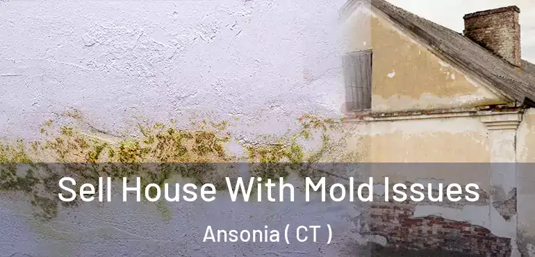  Sell House With Mold Issues Ansonia ( CT )