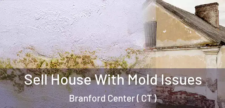 Sell House With Mold Issues Branford Center ( CT )