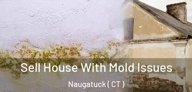  Sell House With Mold Issues Naugatuck ( CT )