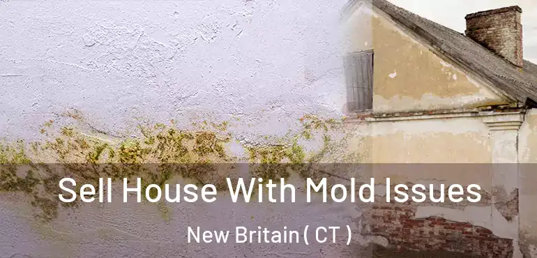  Sell House With Mold Issues New Britain ( CT )