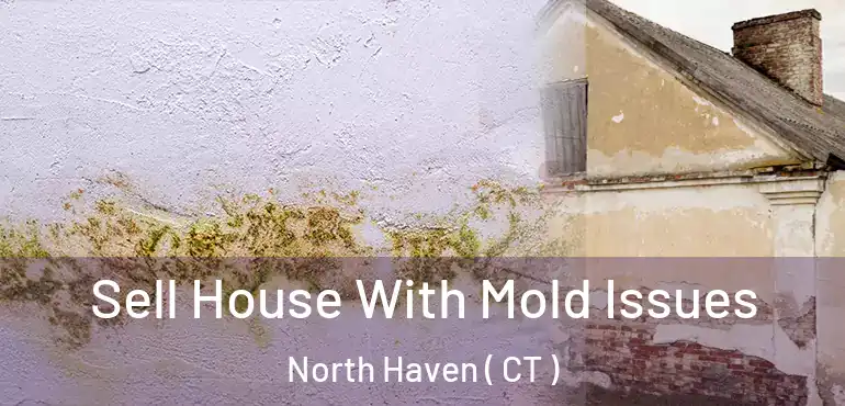  Sell House With Mold Issues North Haven ( CT )