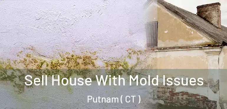  Sell House With Mold Issues Putnam ( CT )