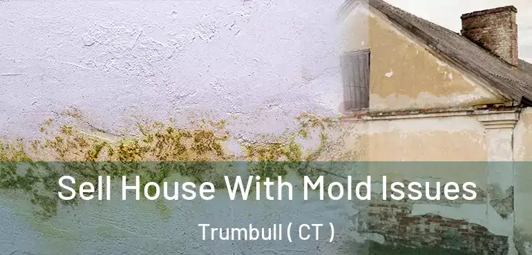  Sell House With Mold Issues Trumbull ( CT )