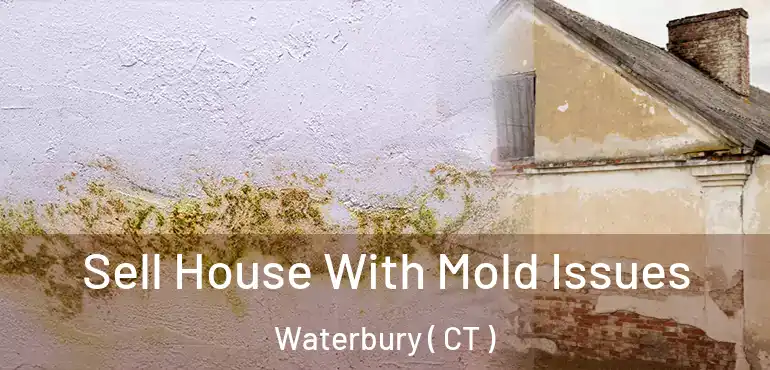  Sell House With Mold Issues Waterbury ( CT )