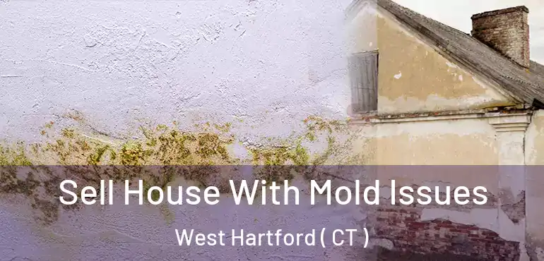  Sell House With Mold Issues West Hartford ( CT )