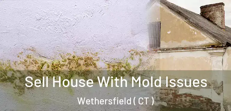  Sell House With Mold Issues Wethersfield ( CT )