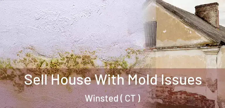  Sell House With Mold Issues Winsted ( CT )