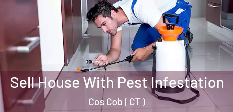  Sell House With Pest Infestation Cos Cob ( CT )