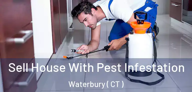  Sell House With Pest Infestation Waterbury ( CT )
