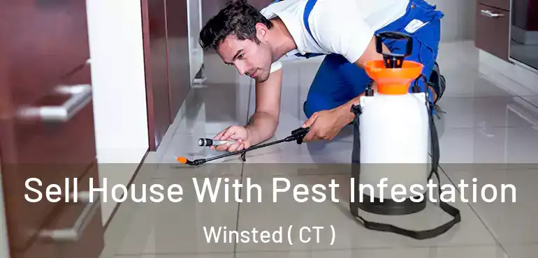 Sell House With Pest Infestation Winsted ( CT )