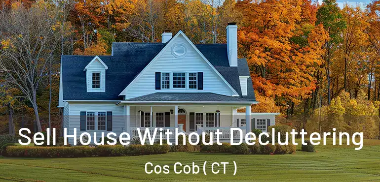  Sell House Without Decluttering Cos Cob ( CT )