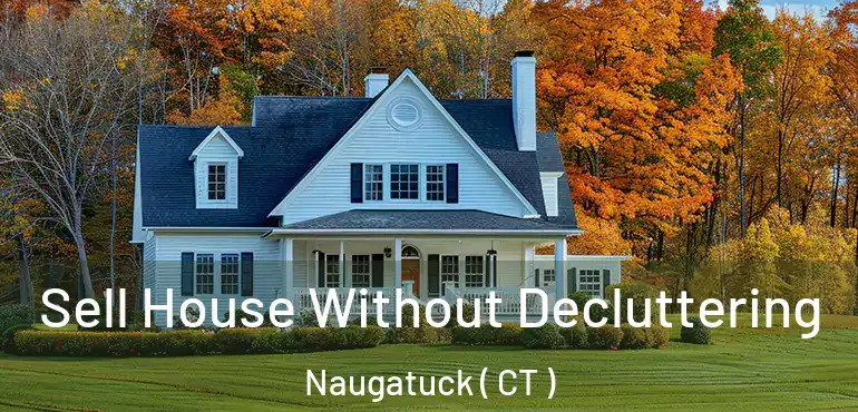  Sell House Without Decluttering Naugatuck ( CT )