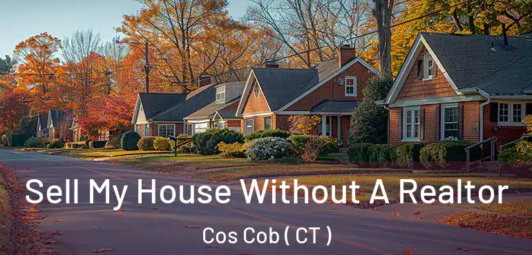  Sell My House Without A Realtor Cos Cob ( CT )