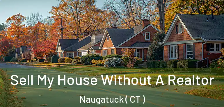  Sell My House Without A Realtor Naugatuck ( CT )