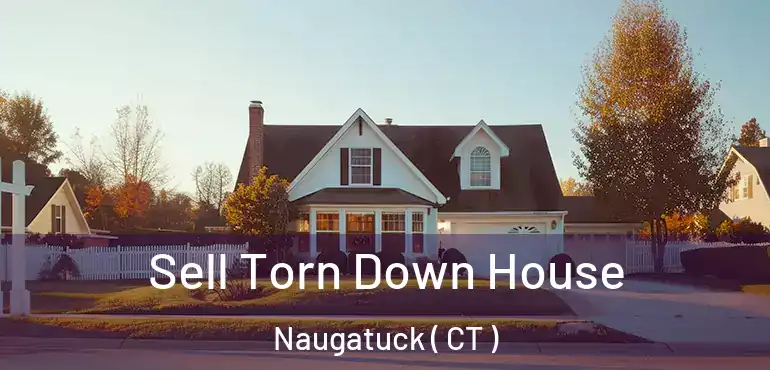  Sell Torn Down House Naugatuck ( CT )