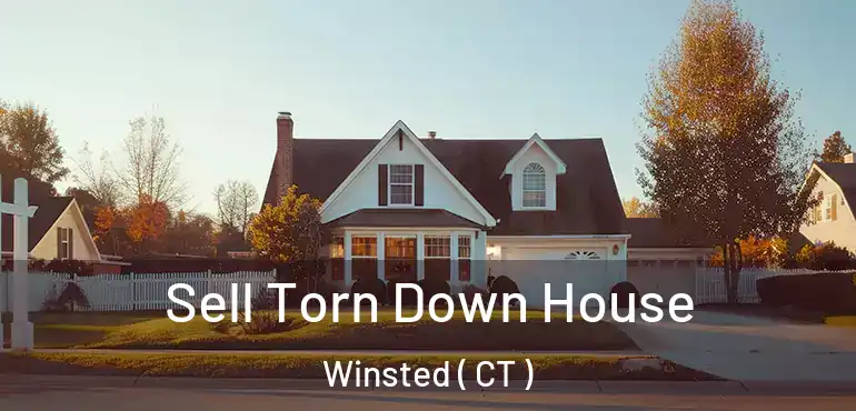  Sell Torn Down House Winsted ( CT )